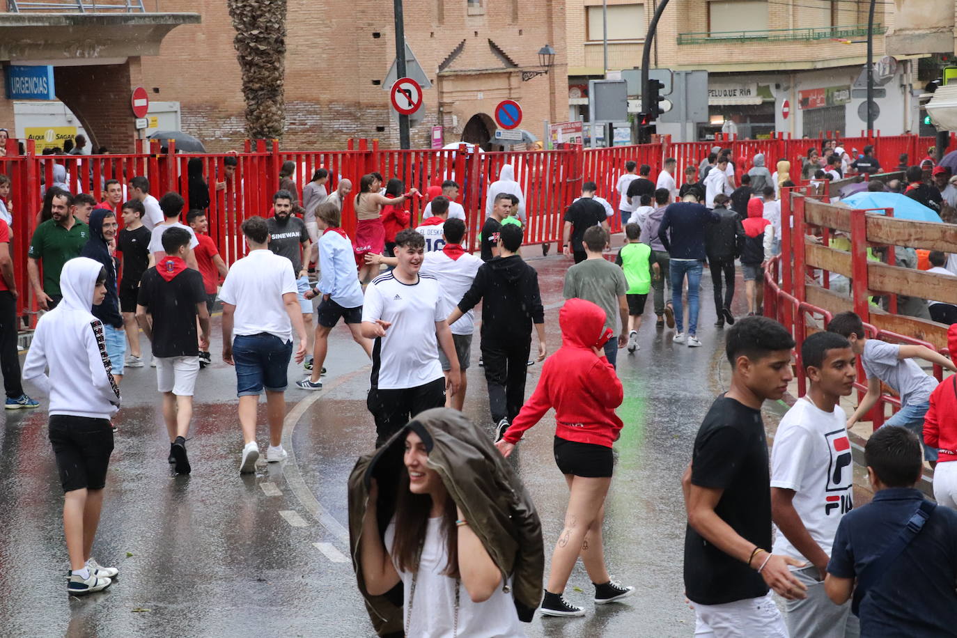 Fotos: Alfaro disfruta se la segunda jornada de las fiestas de Primavera