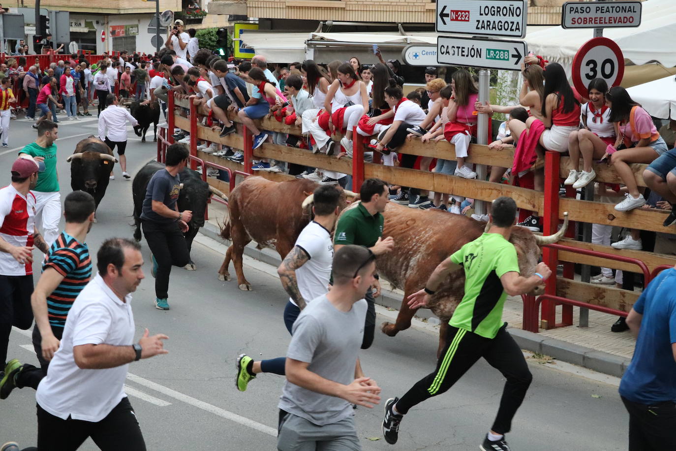 Fotos: Alfaro disfruta se la segunda jornada de las fiestas de Primavera