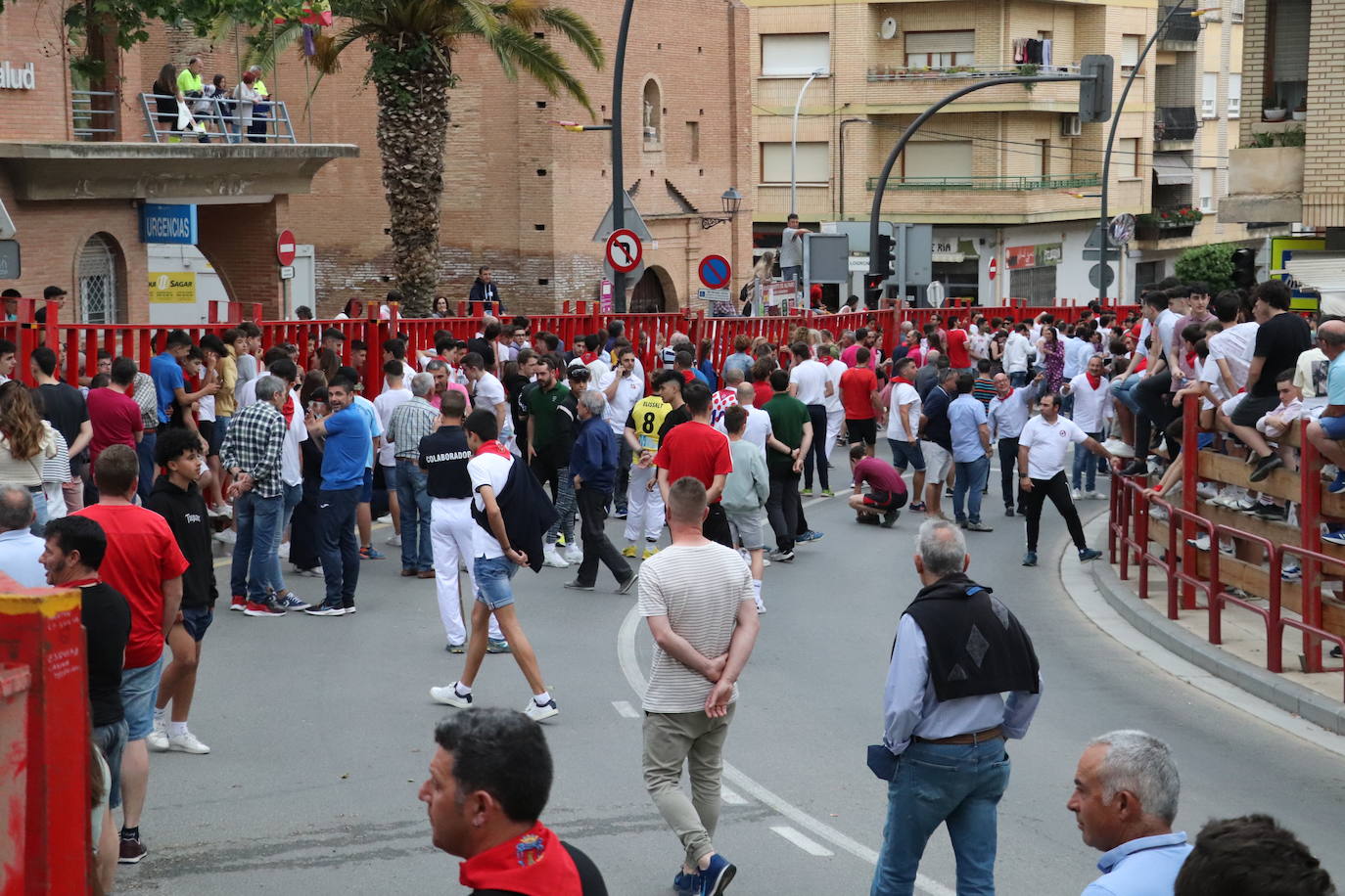 Fotos: Alfaro disfruta se la segunda jornada de las fiestas de Primavera