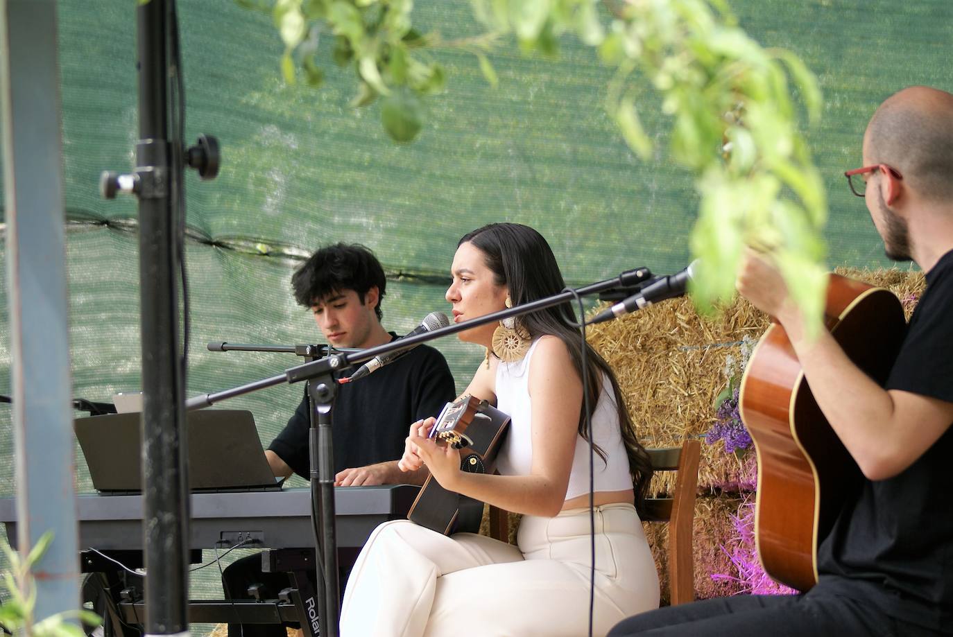 Fotos: Viniegra de Abajo vibra con el festival Sierra Sonora