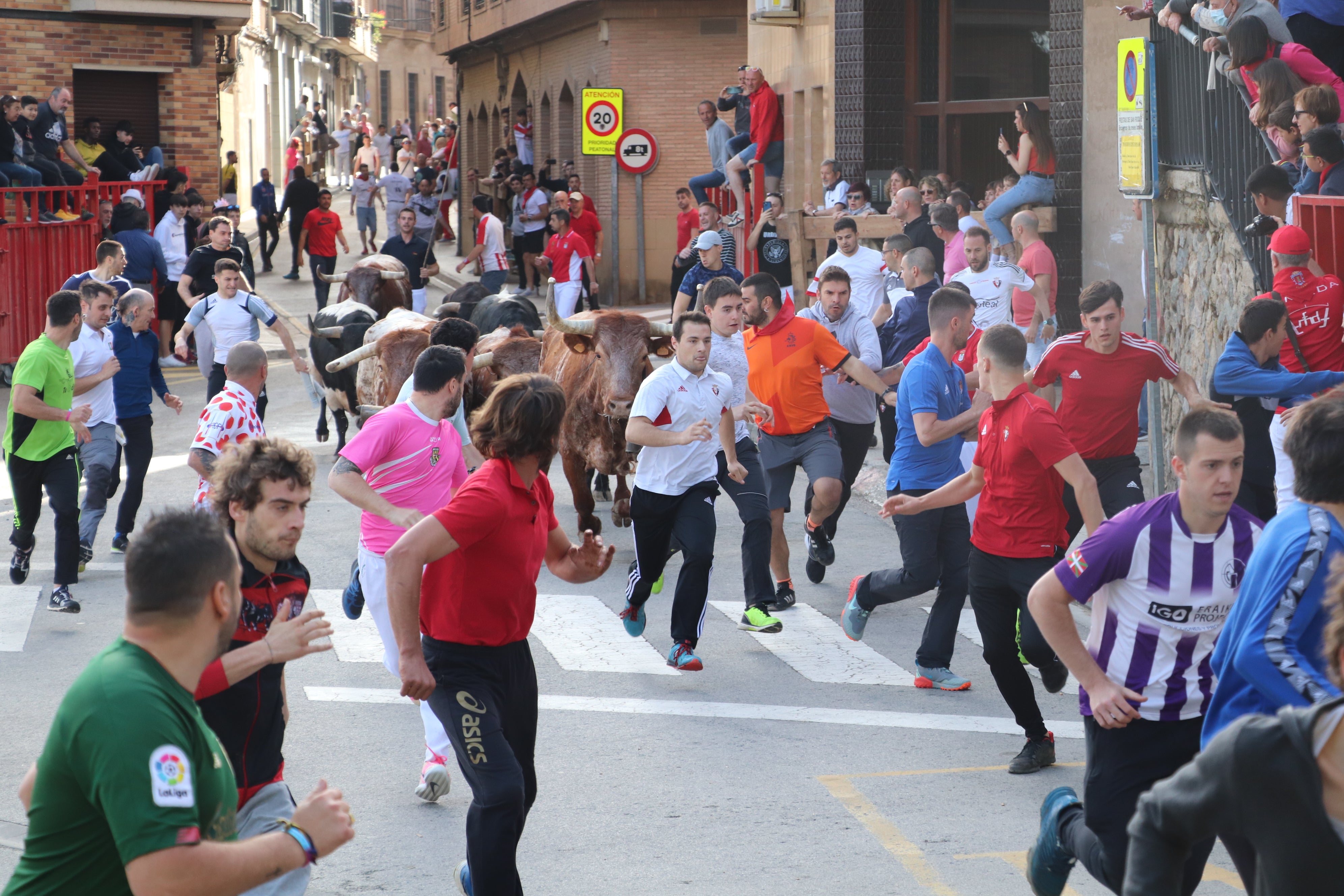 Fotos: Alfaro vive la alegría de San Isidro