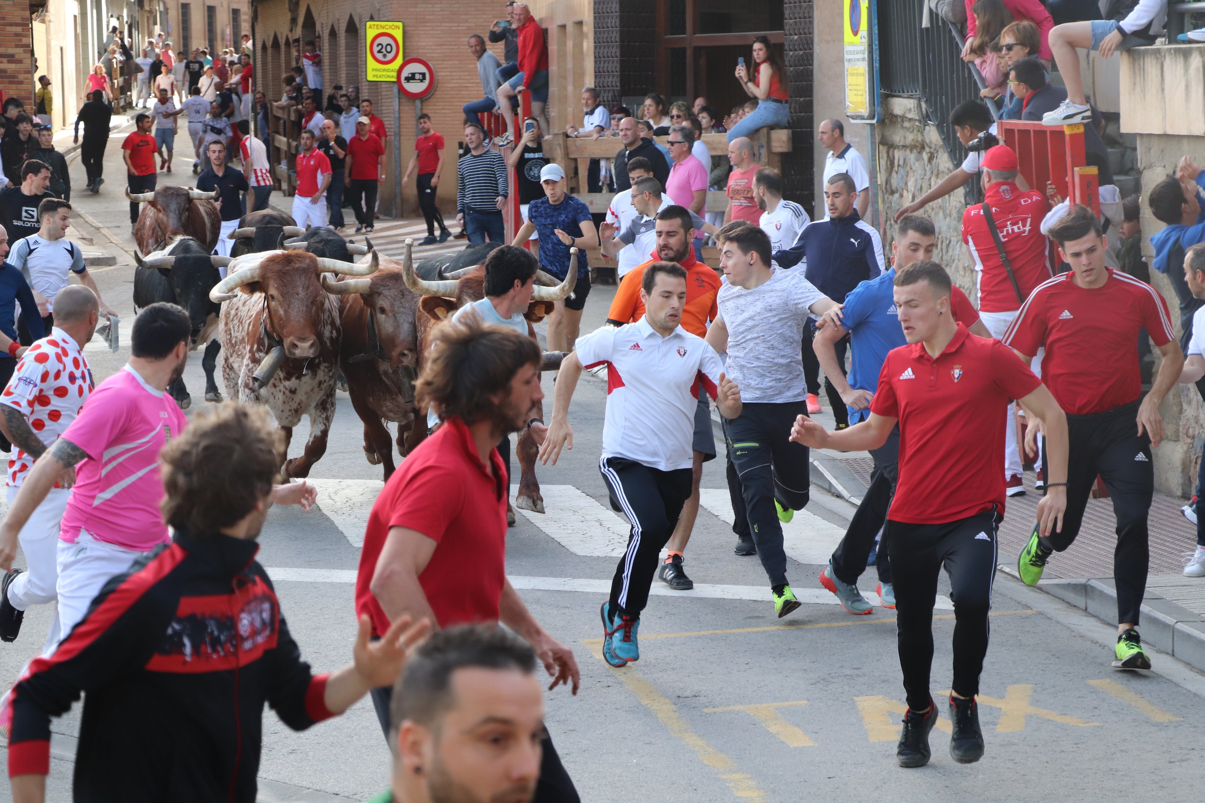 Fotos: Alfaro vive la alegría de San Isidro