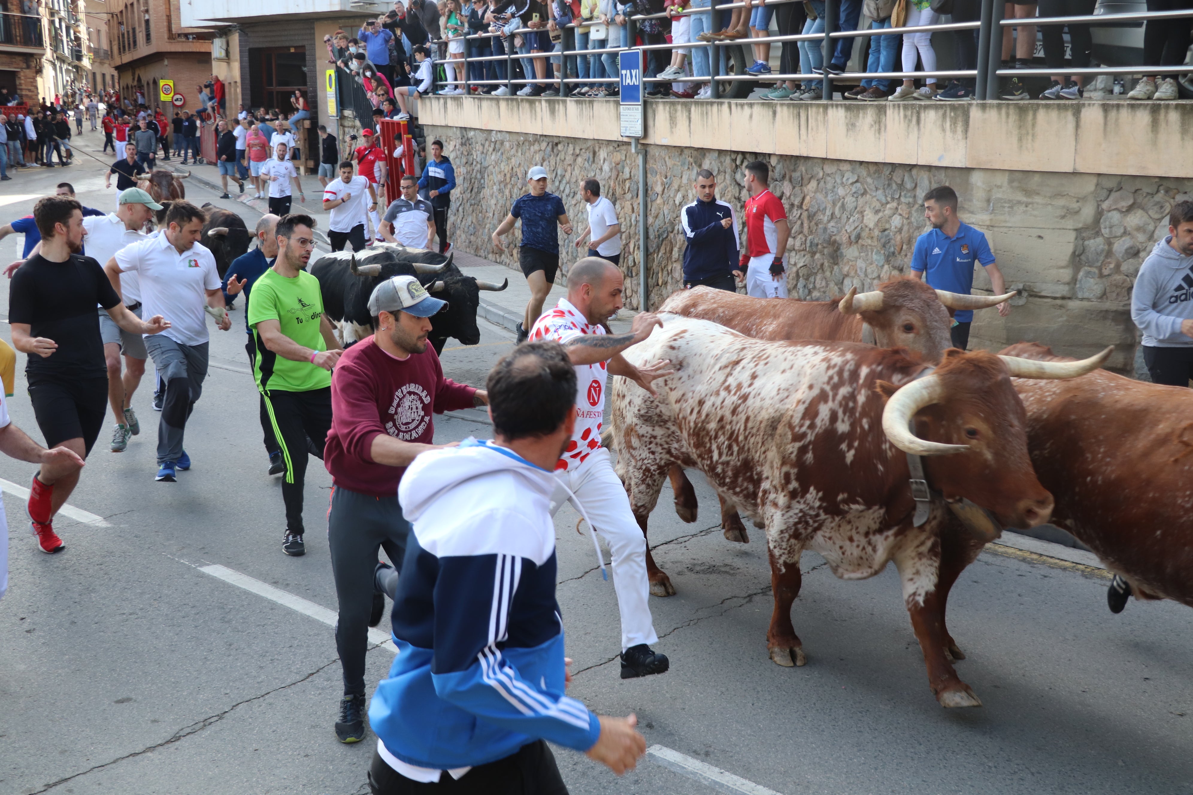 Fotos: Alfaro vive la alegría de San Isidro