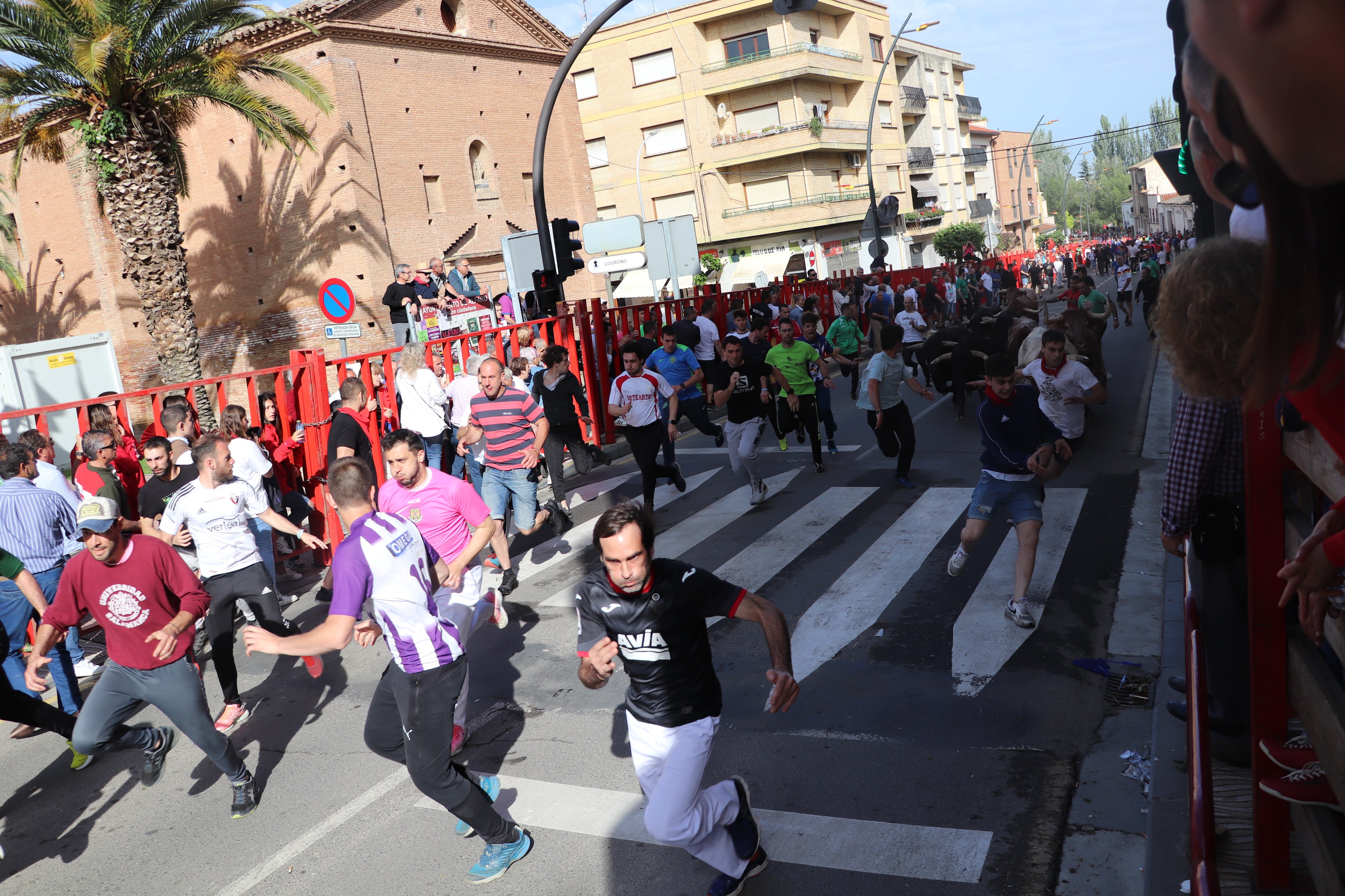 Fotos: Alfaro vive la alegría de San Isidro