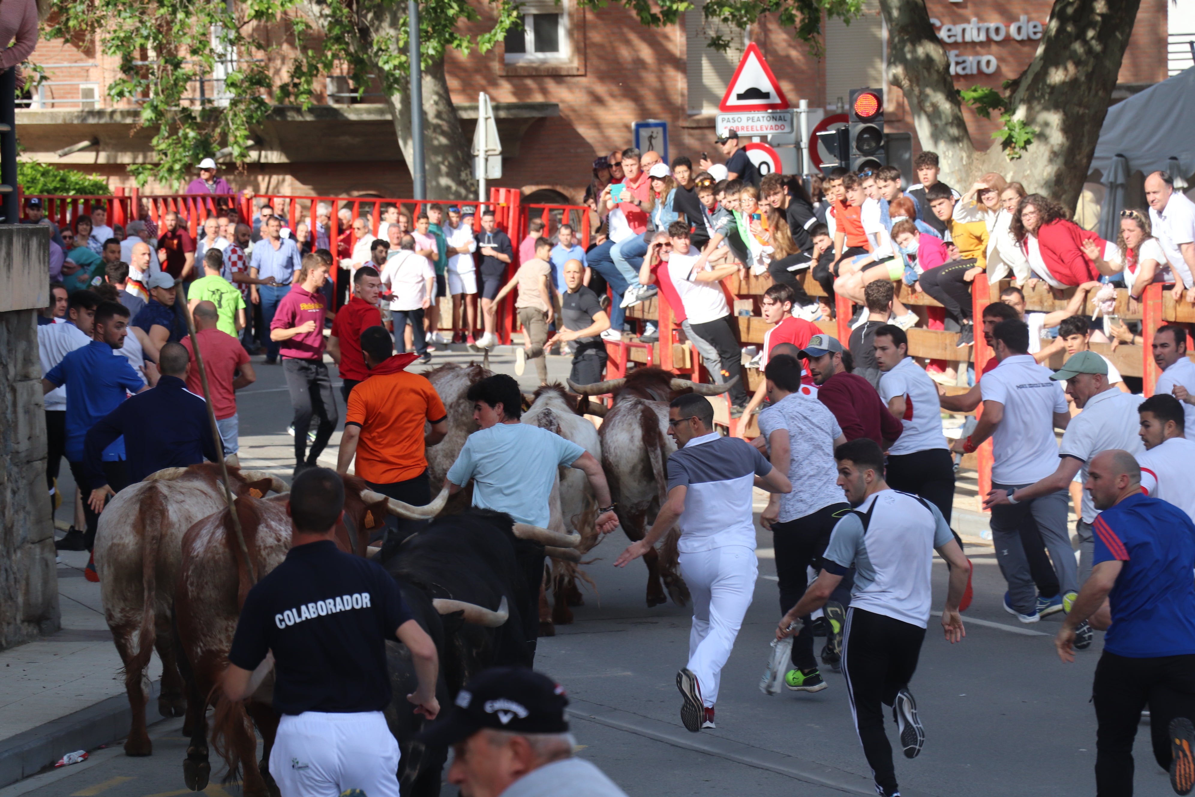 Fotos: Alfaro vive la alegría de San Isidro