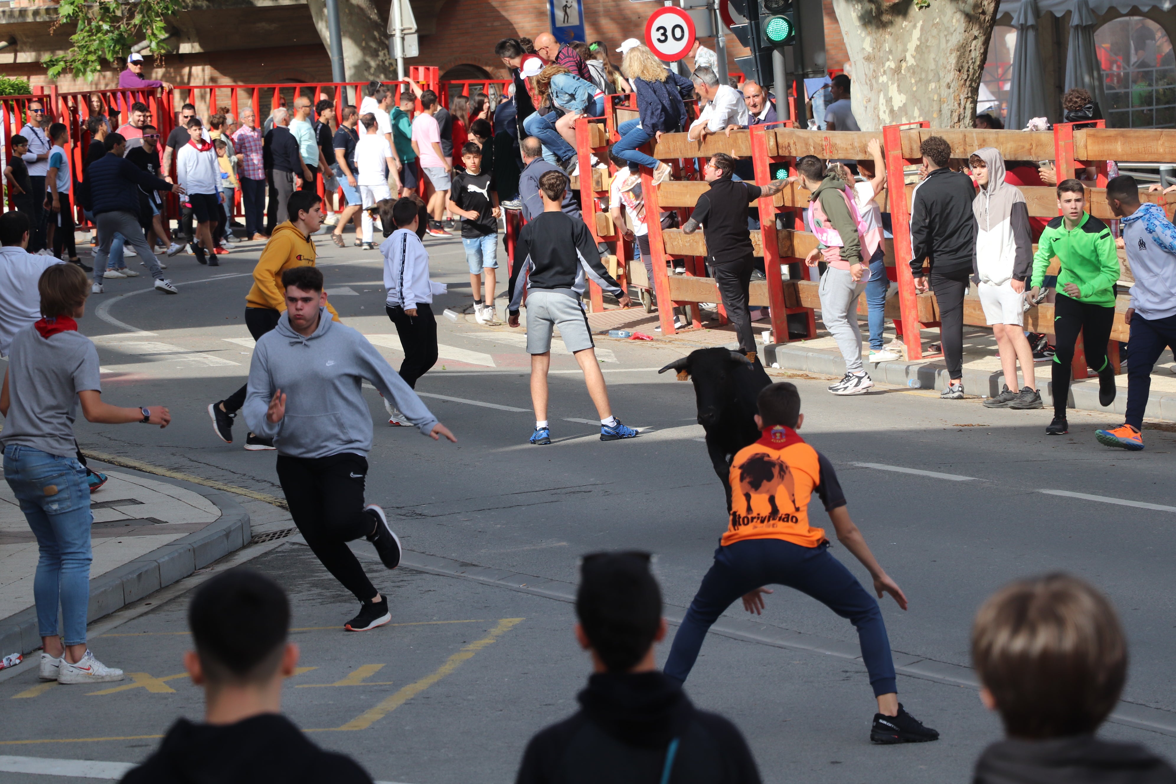 Fotos: Alfaro vive la alegría de San Isidro