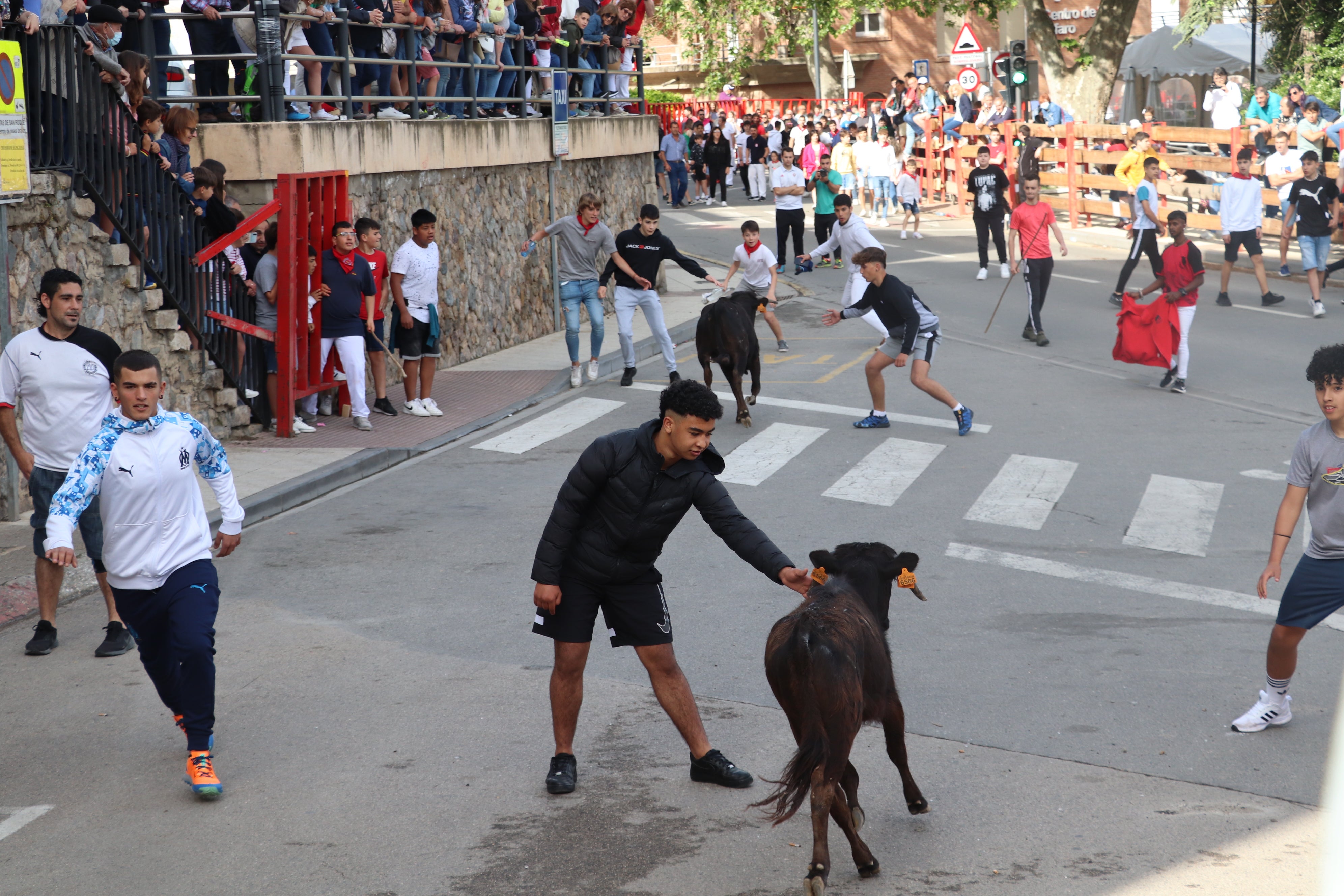 Fotos: Alfaro vive la alegría de San Isidro