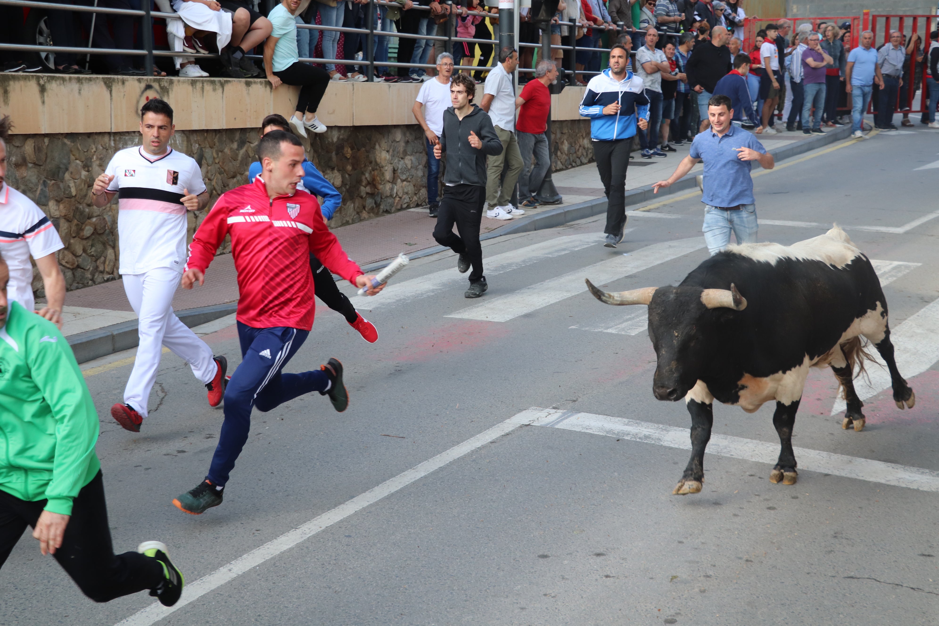 Fotos: Alfaro vive la alegría de San Isidro