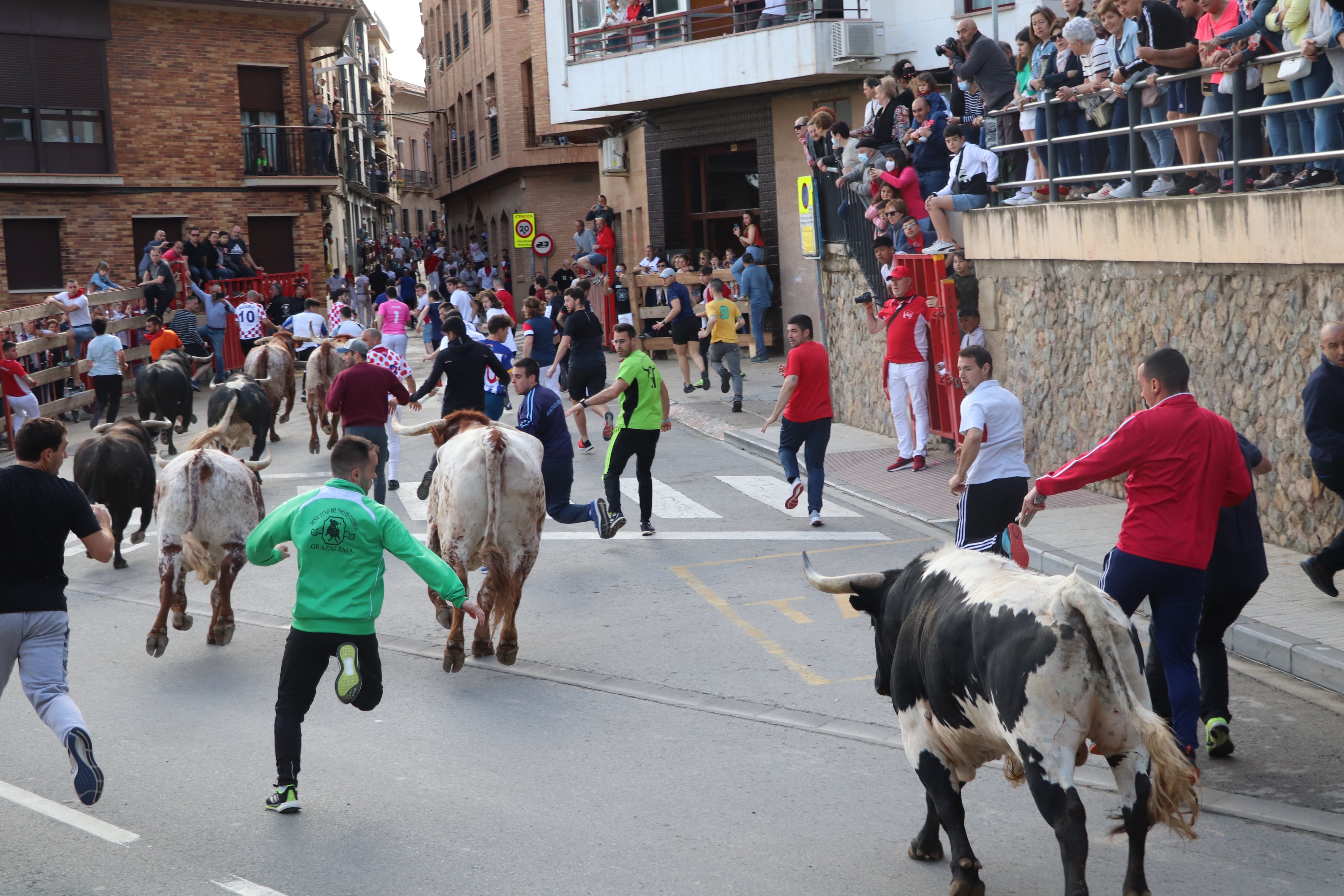 Fotos: Alfaro vive la alegría de San Isidro