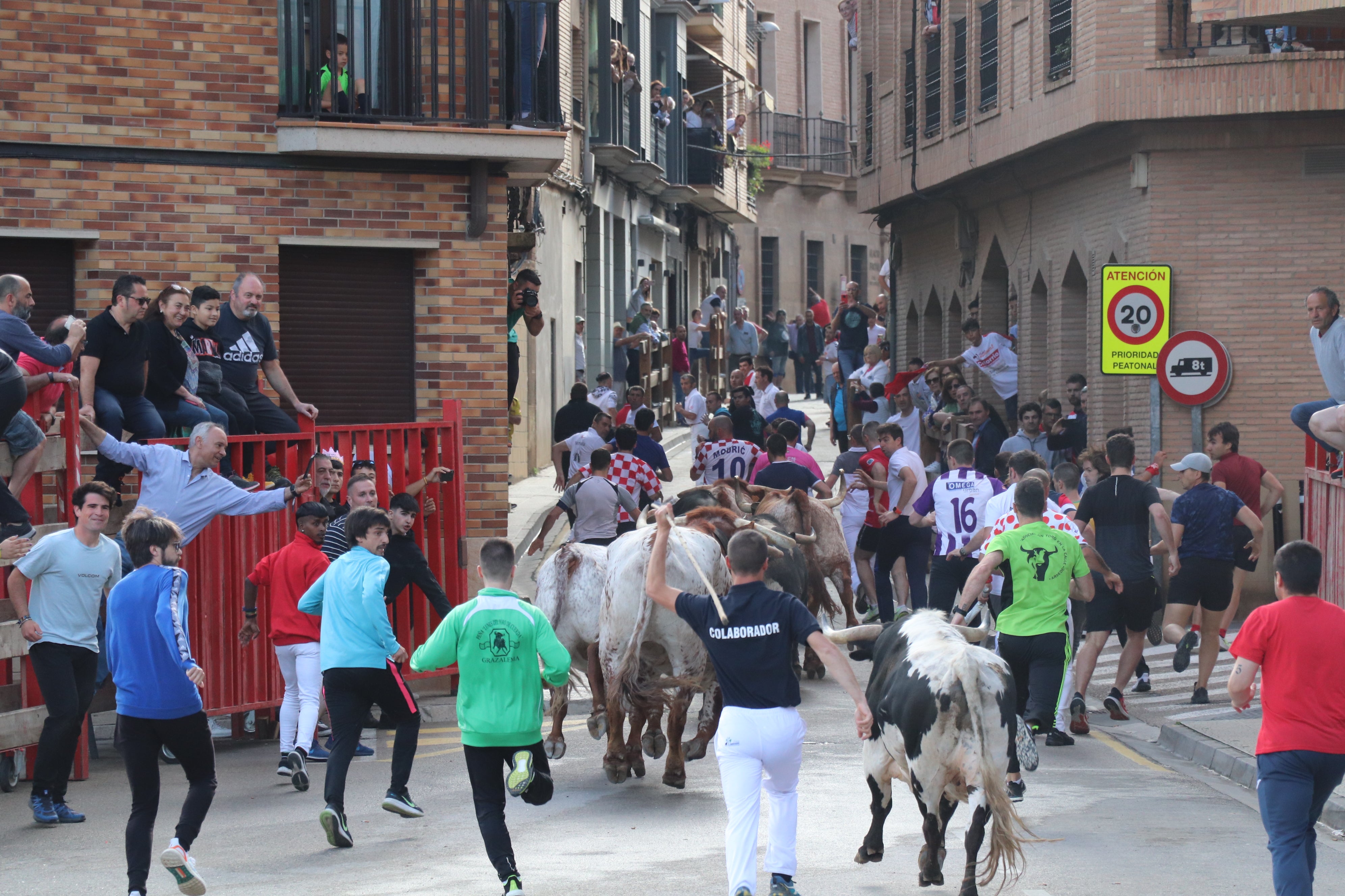 Fotos: Alfaro vive la alegría de San Isidro