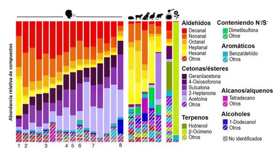 Figura 3. Las mezclas de olores humanos y animales difieren en la concentración relativa de compuestos clave. Perfiles de olor para los humanos, los animales usados en los experimentos y los emanados por el néctar de dos plantas.