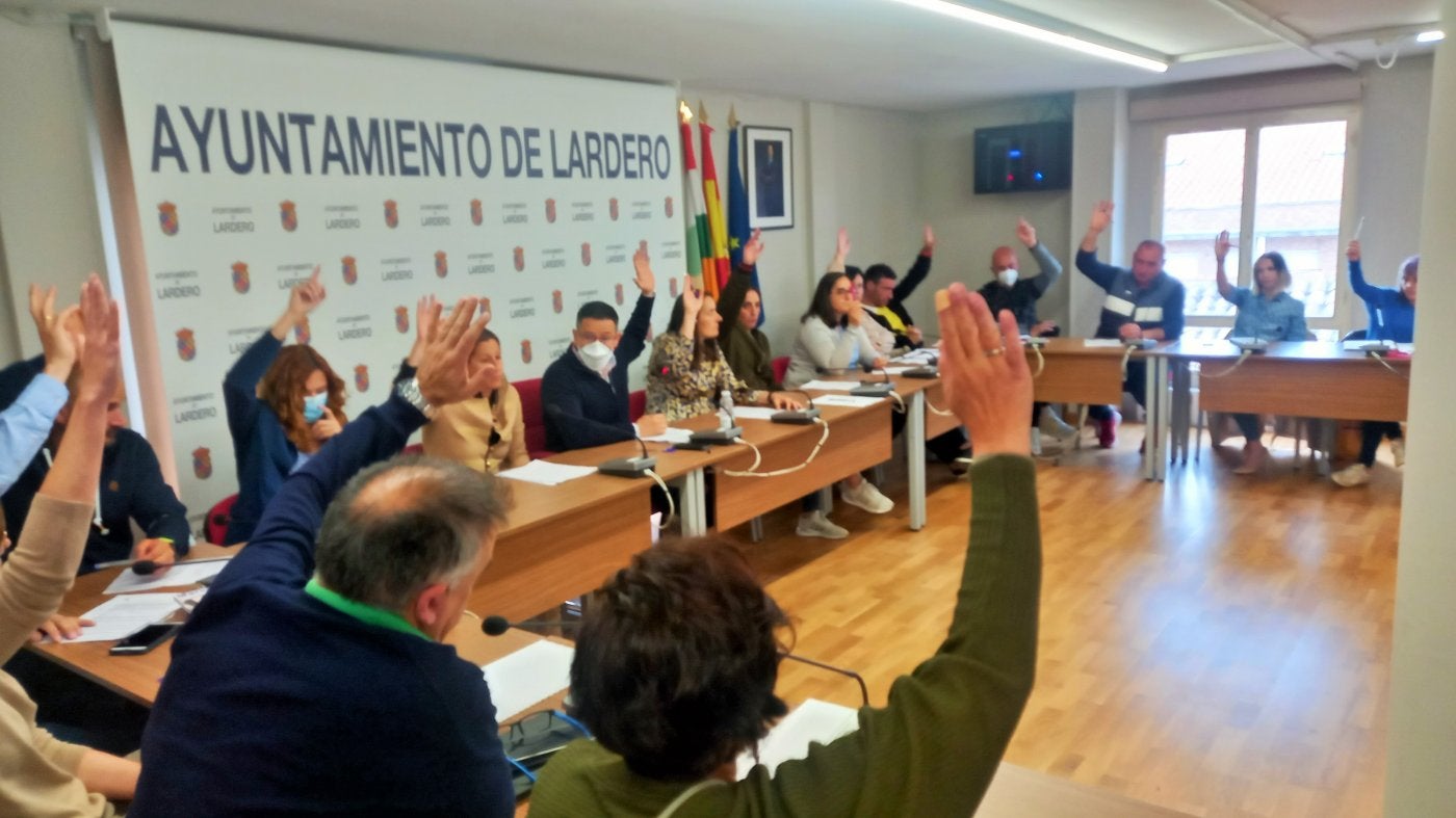 PP, Cs, PSOE, UP-IU y las concejalas no adscritas votaron a favor de condenar el vandalismo en La Barranca. 