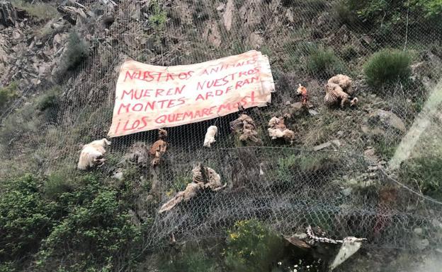 La protesta contra el lobo da un salto con cortes de carreteras y actos vandálicos