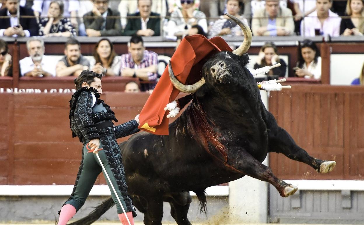 Espectacular pase de pecho de Diego Urdiales para rematar una serie, en Las Ventas. 