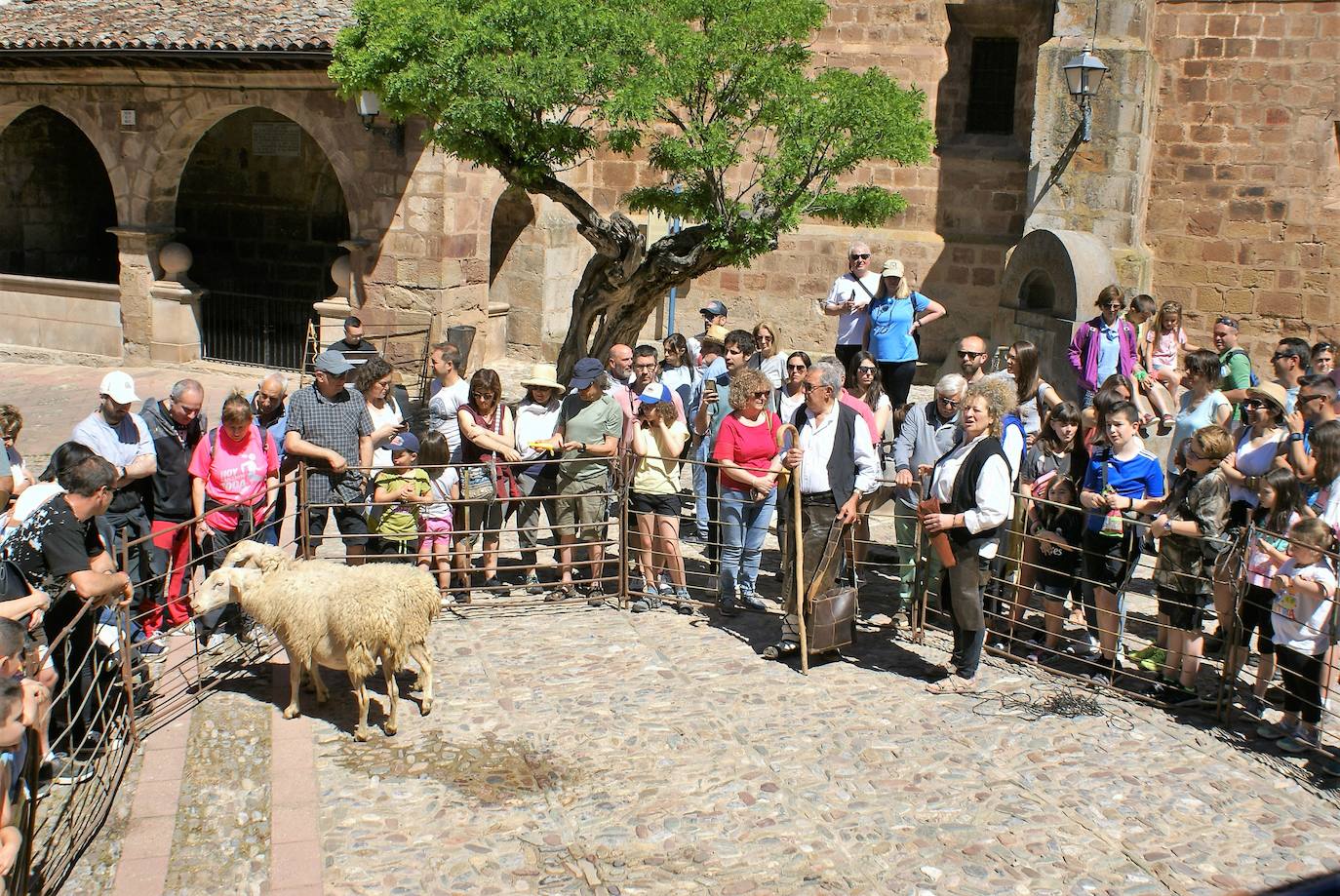 Fotos: Las ovejas, protagonistas de la gran fiesta de la trashumancia