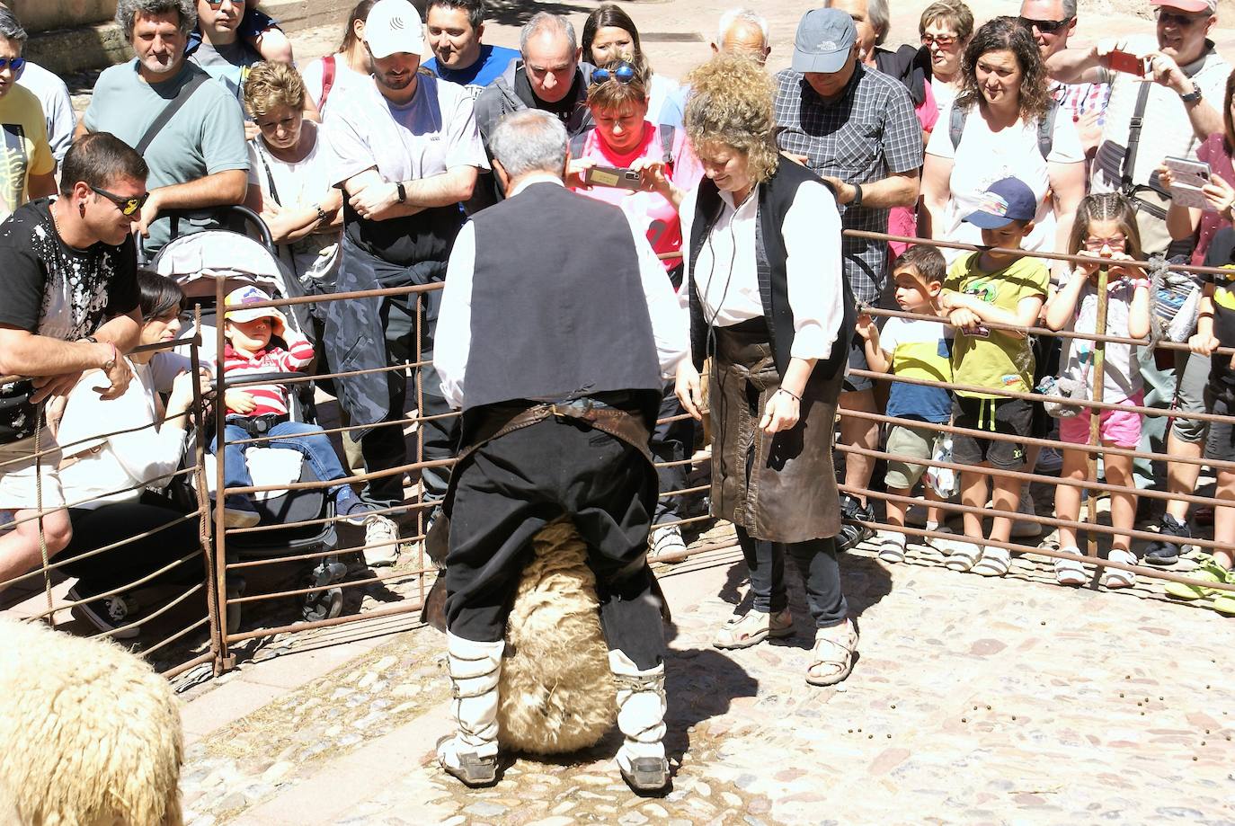 Fotos: Las ovejas, protagonistas de la gran fiesta de la trashumancia