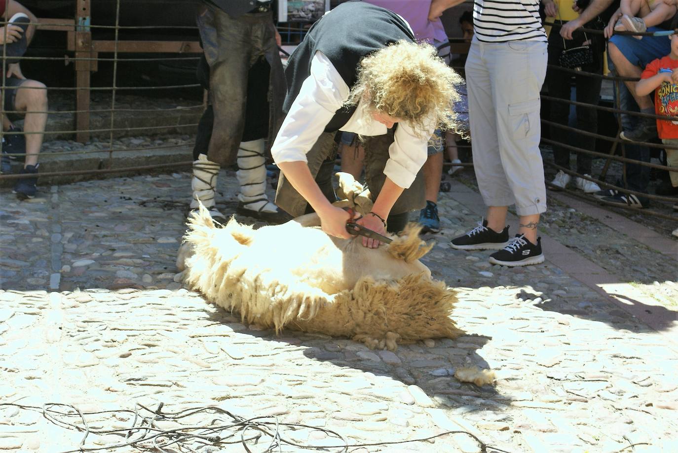 Fotos: Las ovejas, protagonistas de la gran fiesta de la trashumancia