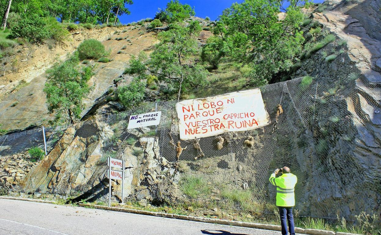 Vicente Urquía fotografía las pancartas y ovejas muertas colgadas junto a la carretera LR-113. En la imagen pequeña, pintada contra el parque natural en la Casa de Islas de Mansilla. 