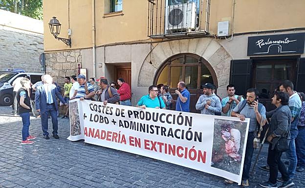Imagen principal - Decenas de ganaderos claman contra el lobo en el Parlamento