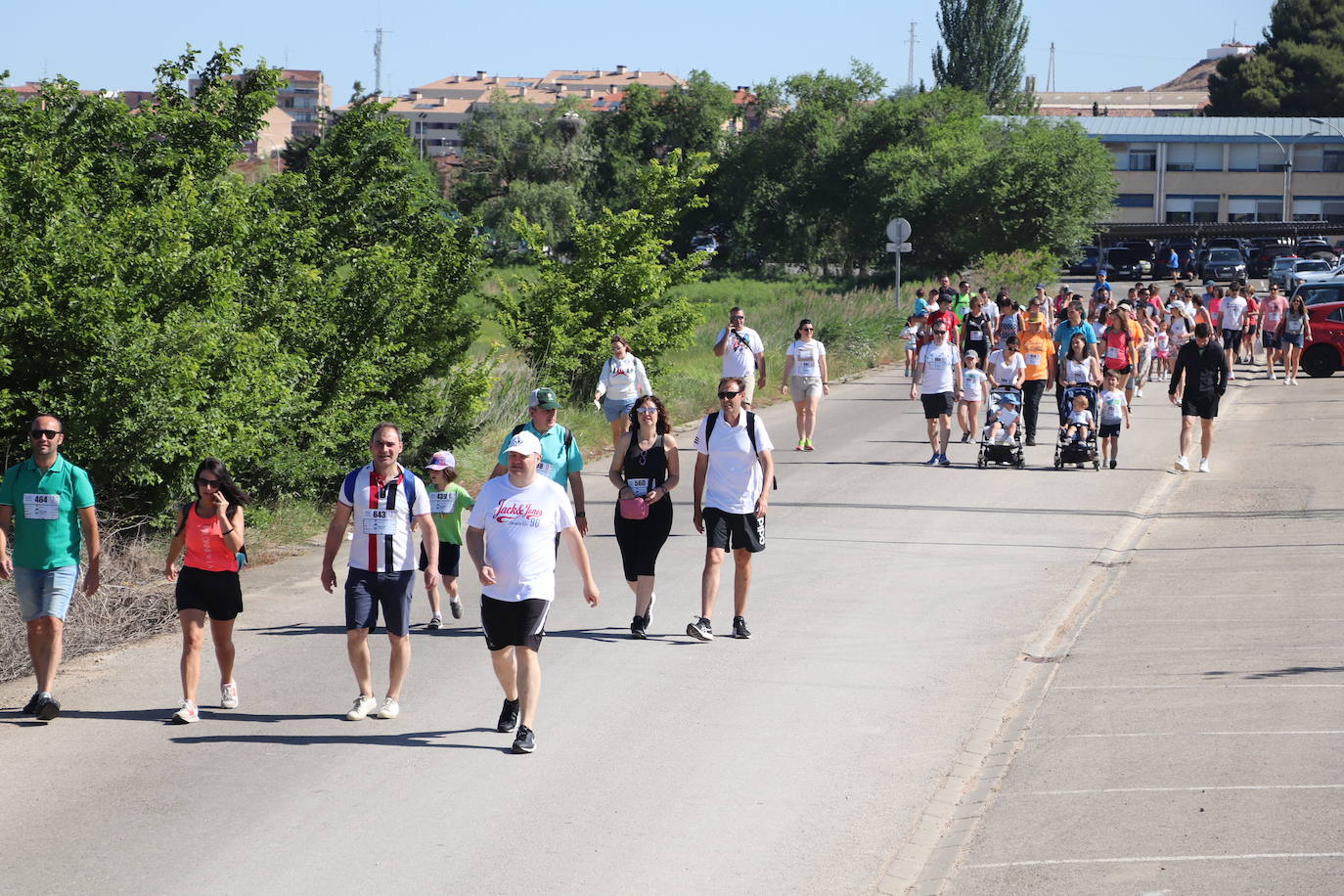 Fotos: Marcha solidaria Cuaresma en Alfaro