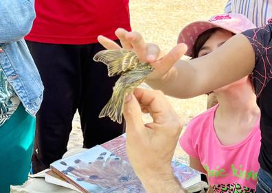 Imagen secundaria 1 - Álex Dorado participa en el Día Mundial del Medio Ambiente en una actividad de anillamiento de aves