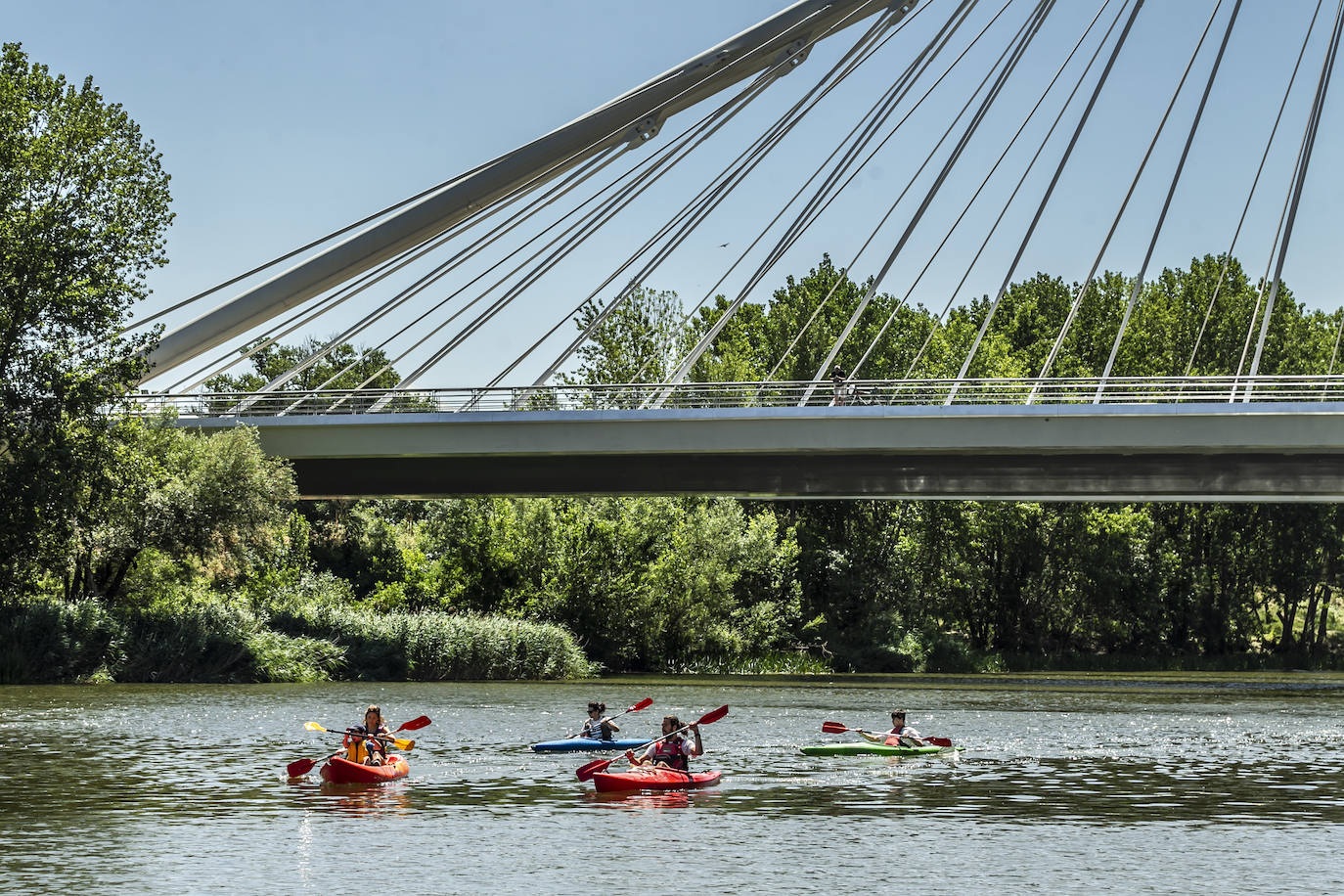 Fotos: Jornada didáctica en kayak para conocer la fauna del Ebro