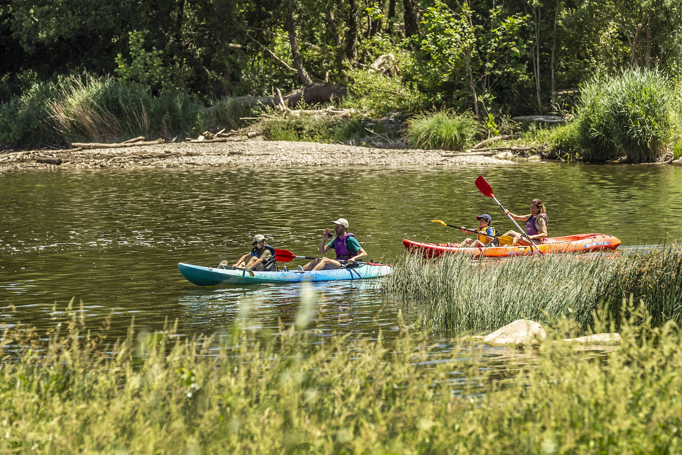 Fotos: Jornada didáctica en kayak para conocer la fauna del Ebro