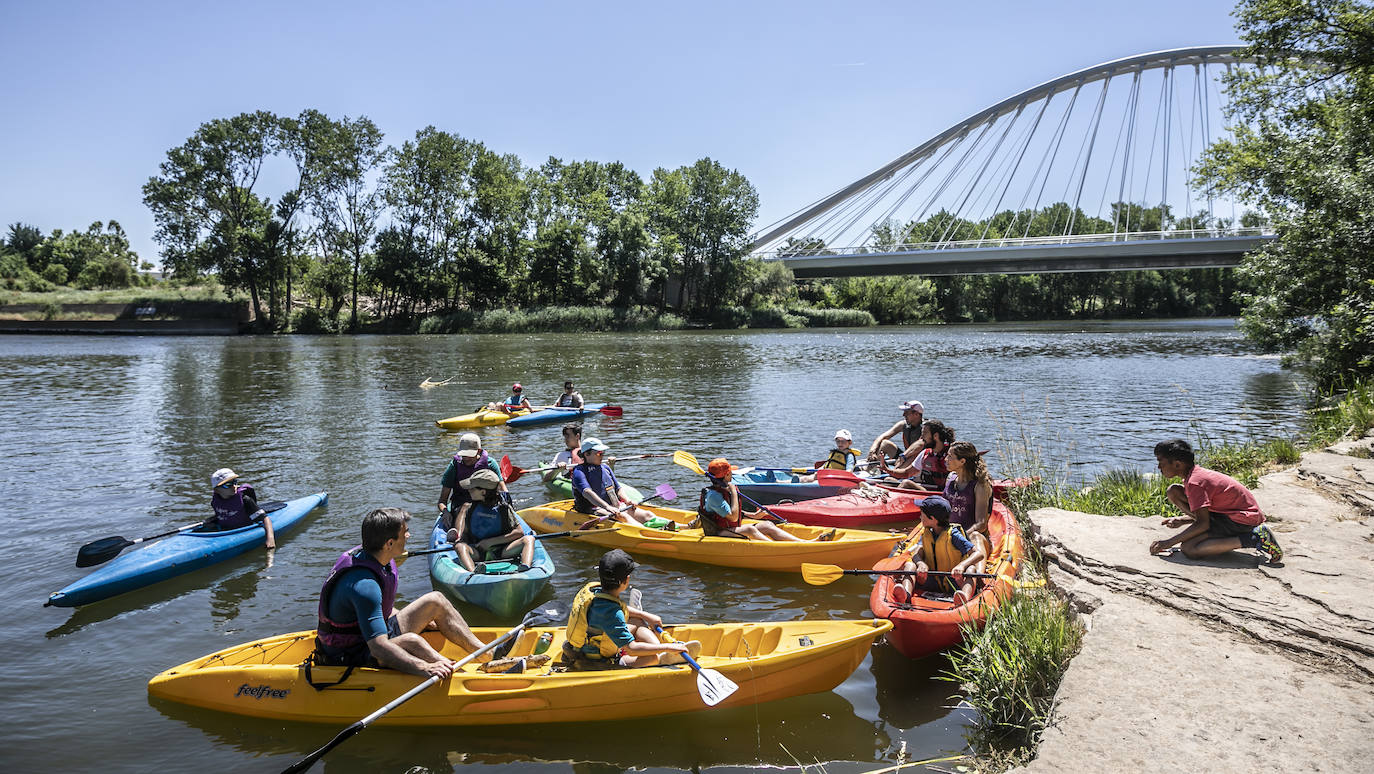 Fotos: Jornada didáctica en kayak para conocer la fauna del Ebro