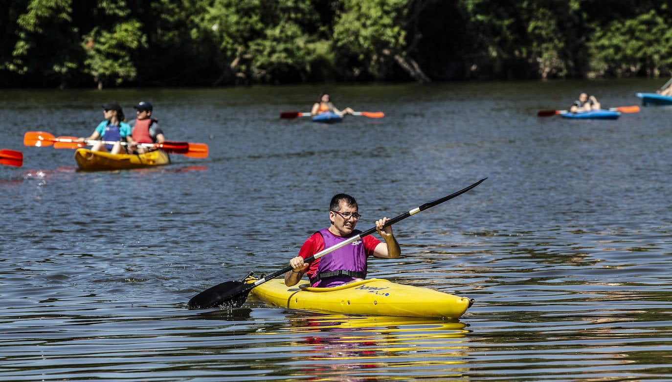 Fotos: Jornada didáctica en kayak para conocer la fauna del Ebro