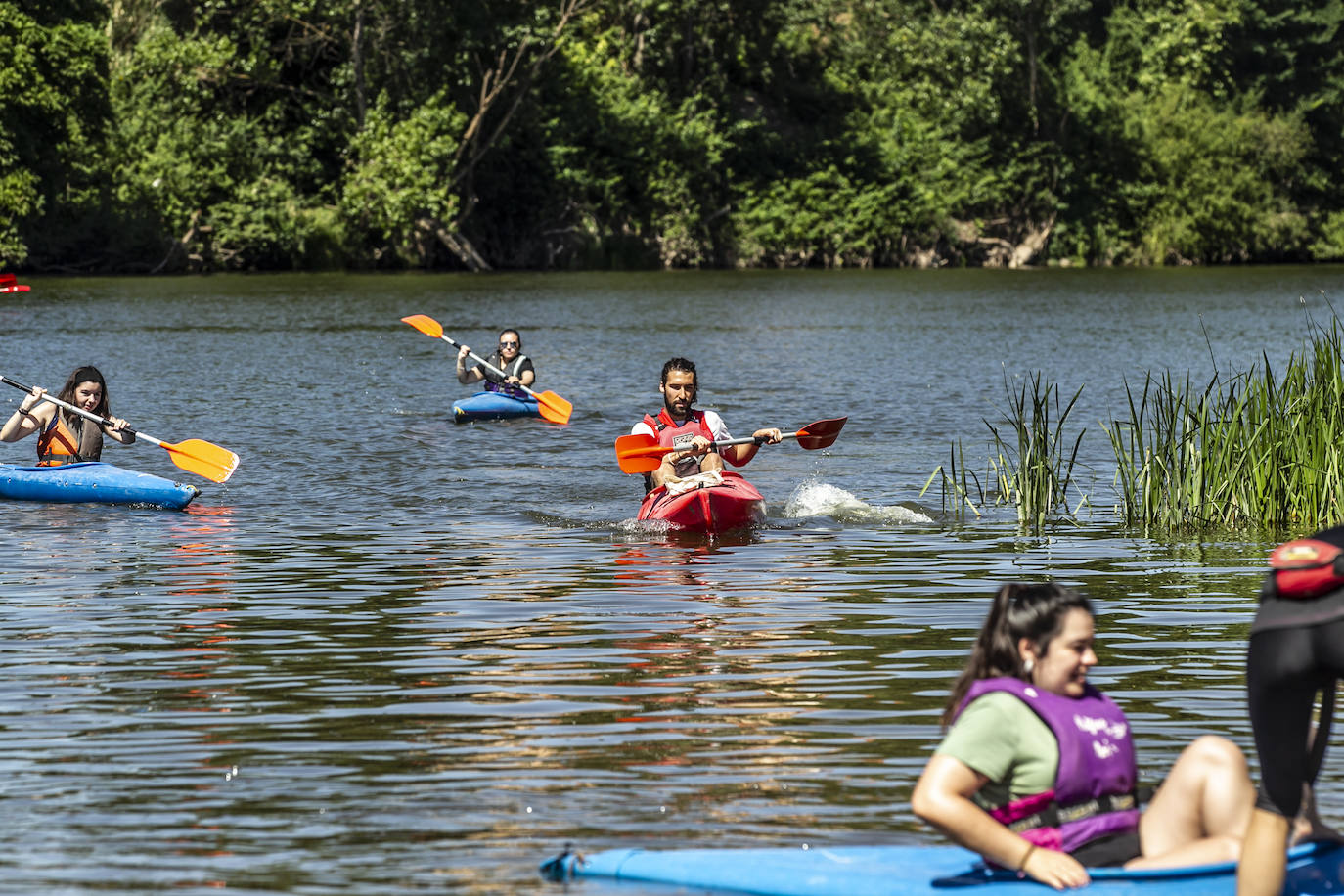 Fotos: Jornada didáctica en kayak para conocer la fauna del Ebro