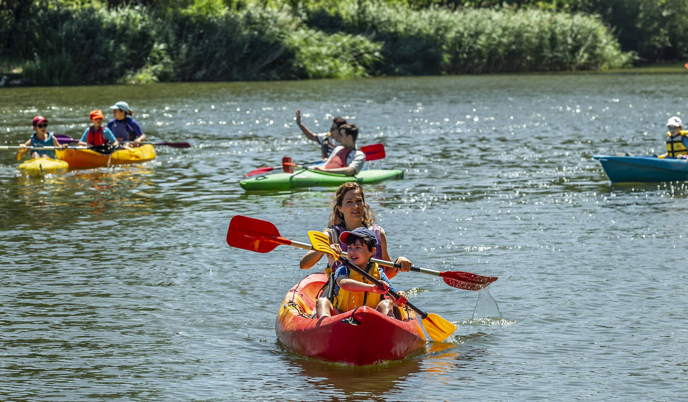 Fotos: Jornada didáctica en kayak para conocer la fauna del Ebro