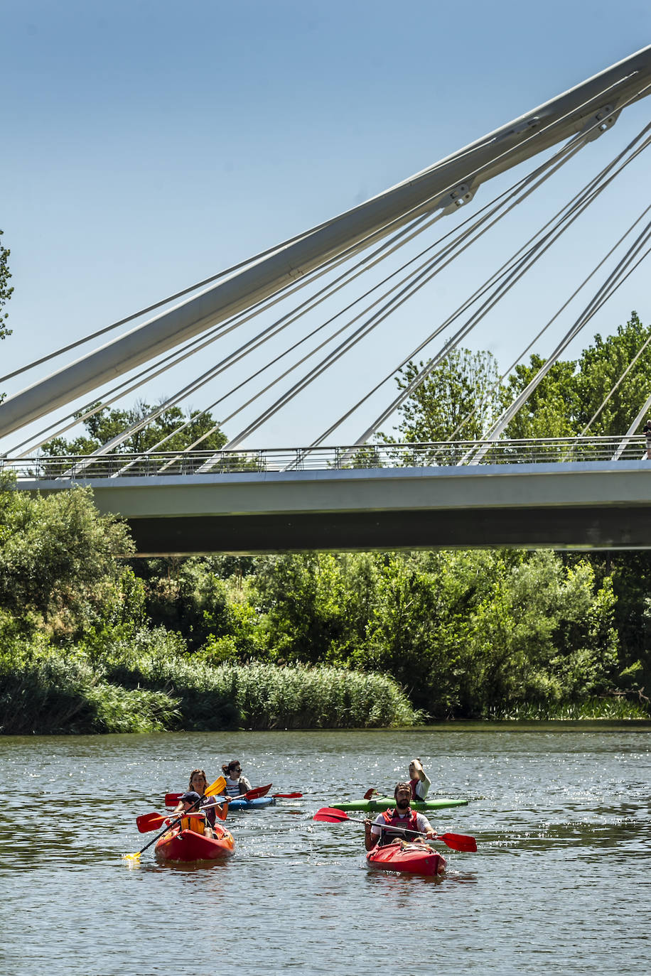 Fotos: Jornada didáctica en kayak para conocer la fauna del Ebro