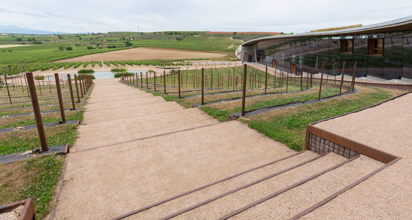 Fotos: Así es la nueva bodega de Beronia