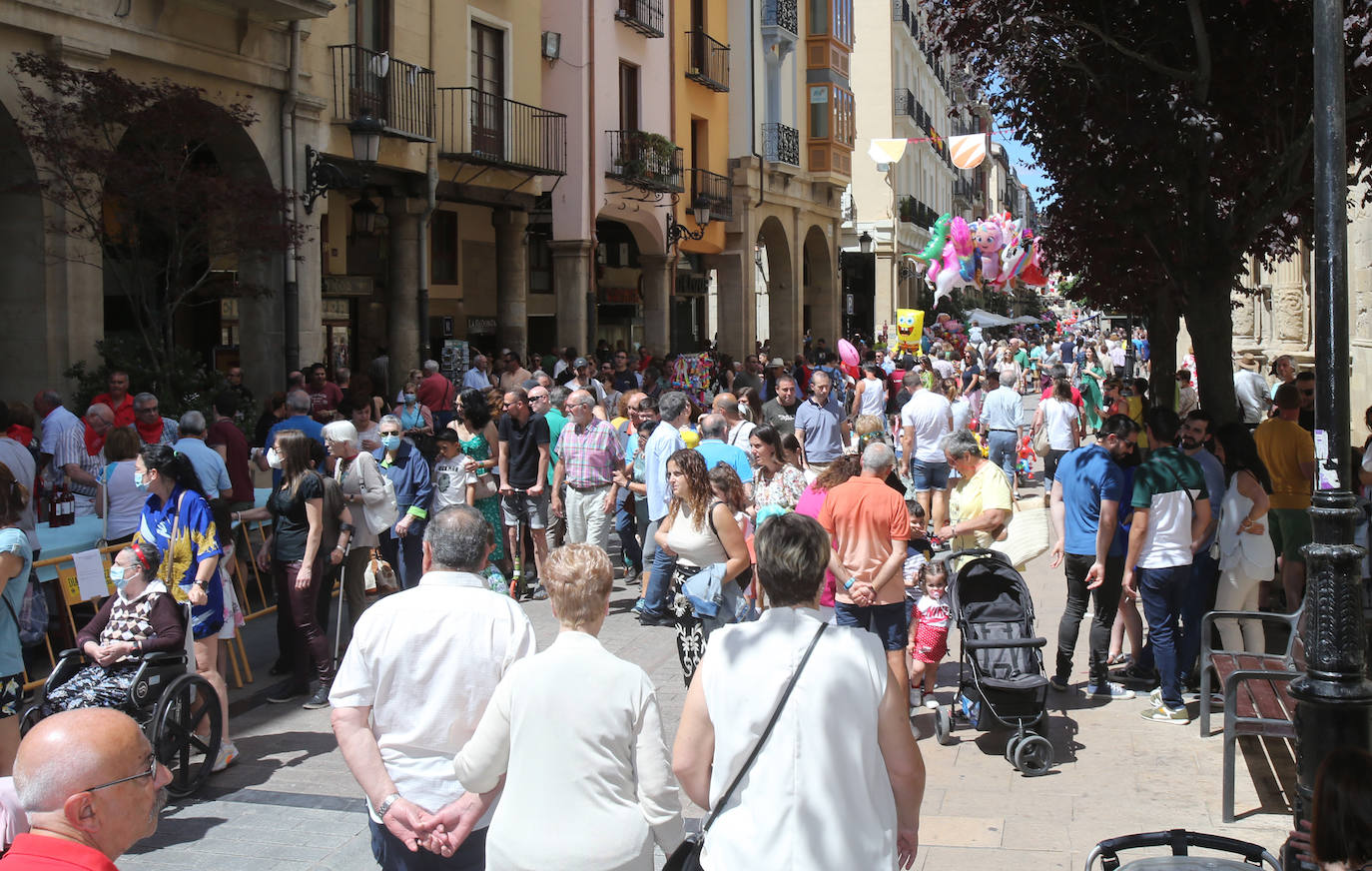 Fotos: Ambiente festivo por las calles de Logroño