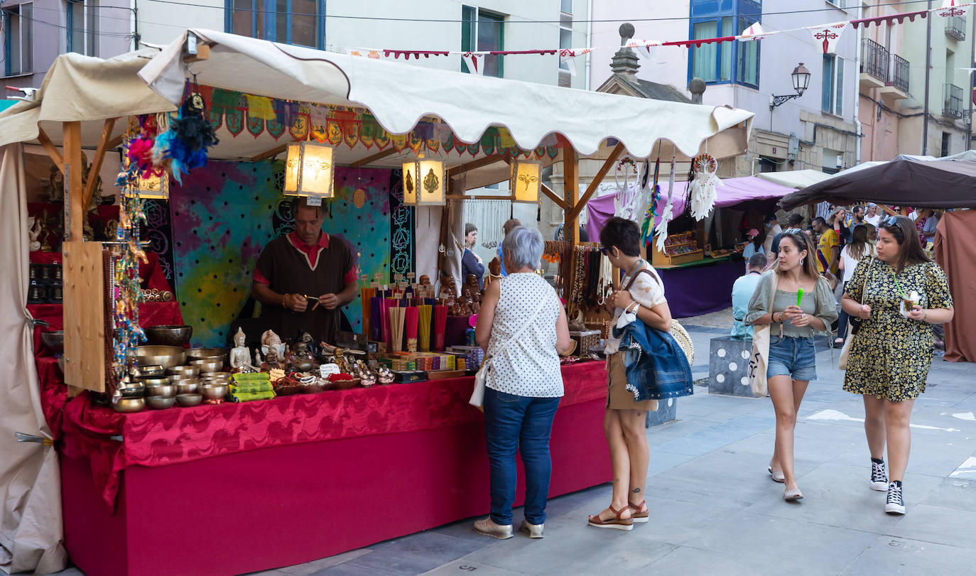 Fotos: Inauguración del campamento francés y del mercado renacentista de San Bernabé