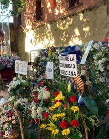 Imagen secundaria 2 - Flores que anuncian la vuelta