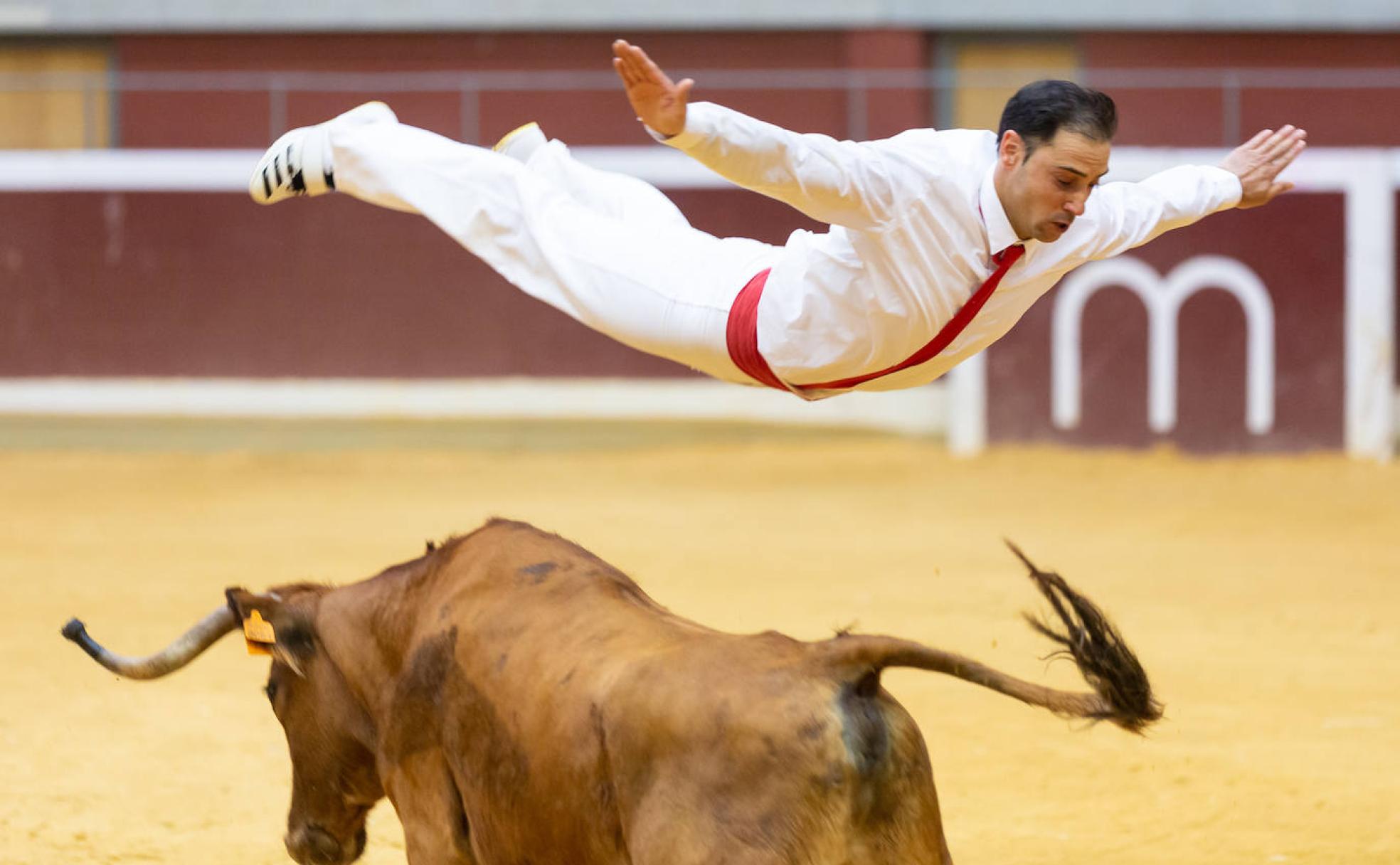 El Voto de San Bernabé pasa por la plaza de toros