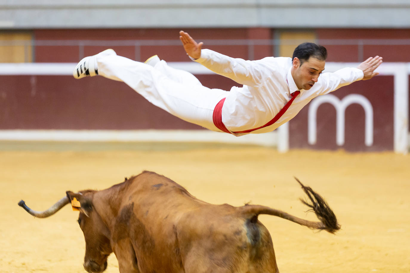 Fotos: El Voto de San Bernabé pasa por la plaza de toros