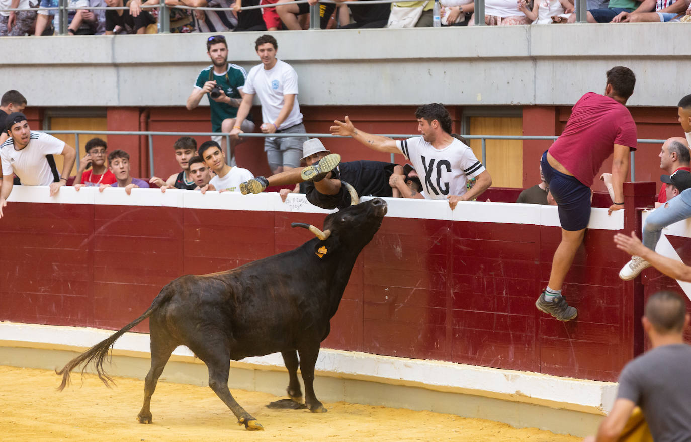 Fotos: El Voto de San Bernabé pasa por la plaza de toros