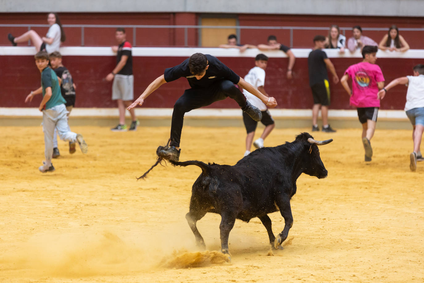 Fotos: El Voto de San Bernabé pasa por la plaza de toros