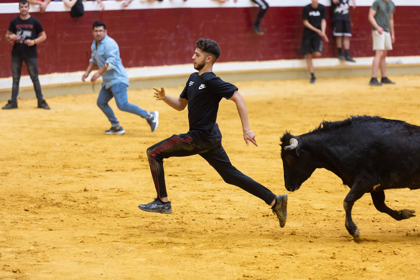 Fotos: El Voto de San Bernabé pasa por la plaza de toros