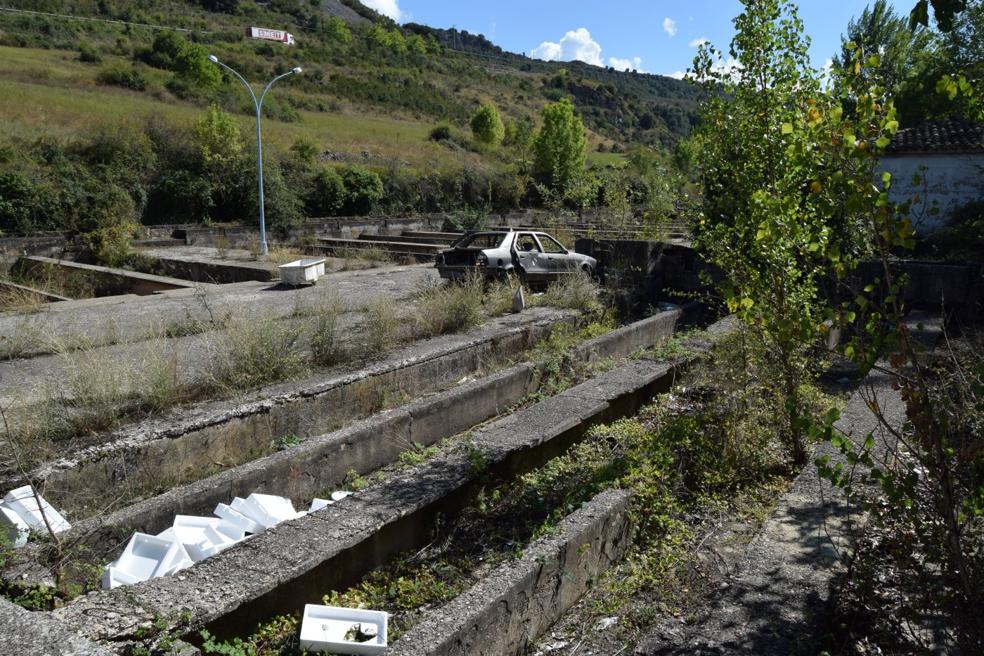 La vegetación, y también residuos como un vehículo desvencijado, invaden desde hace años las instalaciones de la piscifactoría. 