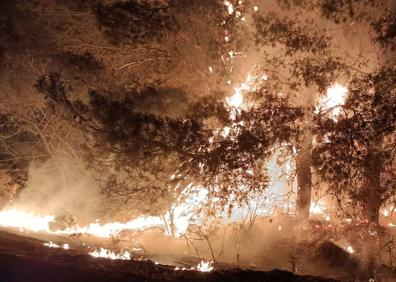 Imagen secundaria 1 - Bomberos de La Rioja ayudan a extinguir el incendio de la zona Sendaviva y Valtierra