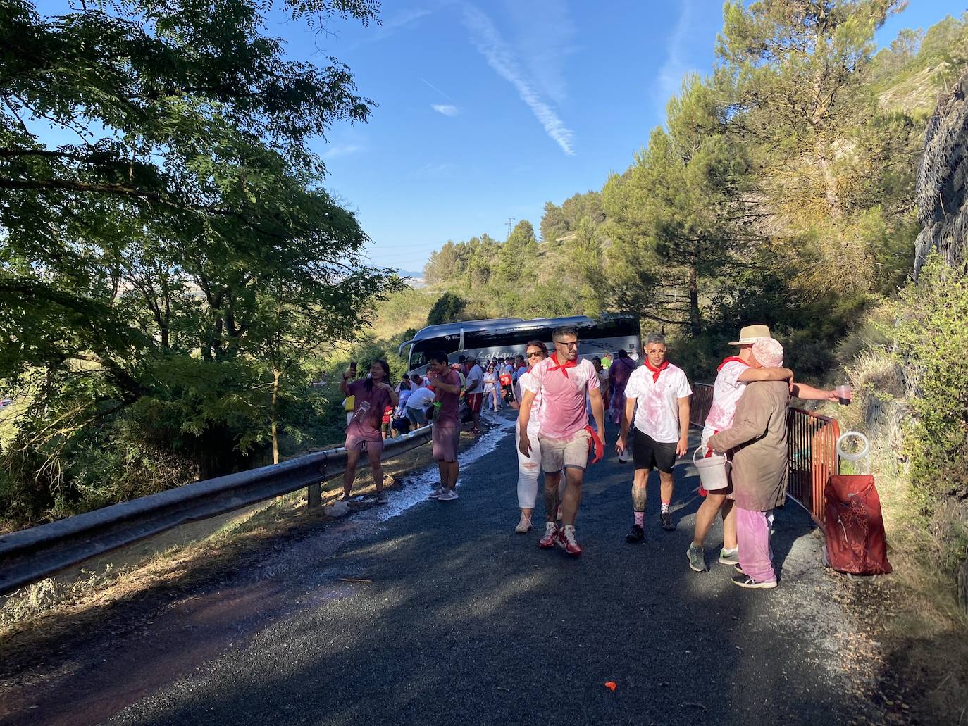 Fotos: Batalla del vino de Haro 2022