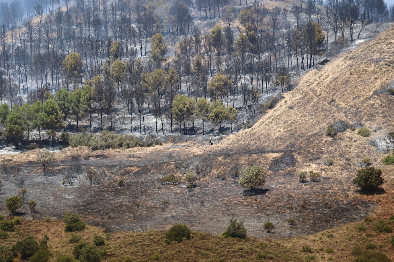 Fotos: Incendio en el monte Yerga en Alfaro y Grávalos