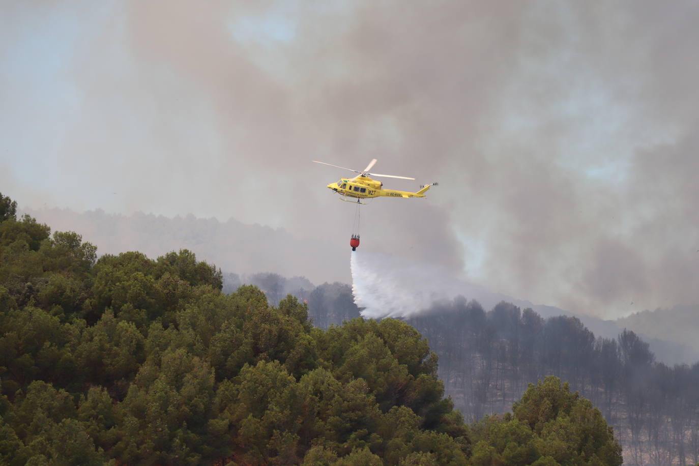 Fotos: Incendio en el monte Yerga en Alfaro y Grávalos