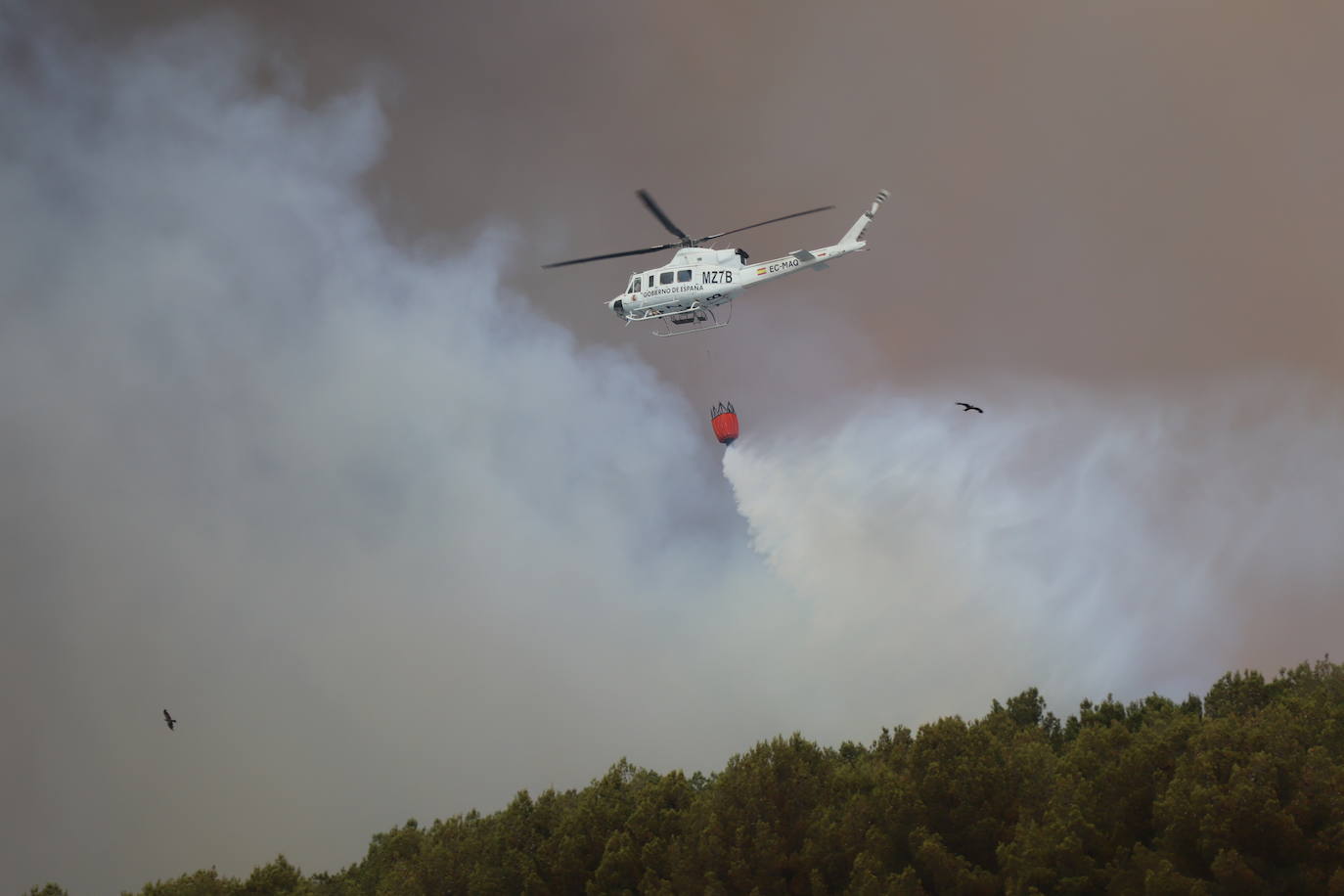 Fotos: Incendio en el monte Yerga en Alfaro y Grávalos