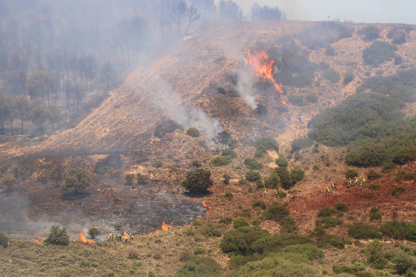 Fotos: Incendio en el monte Yerga en Alfaro y Grávalos