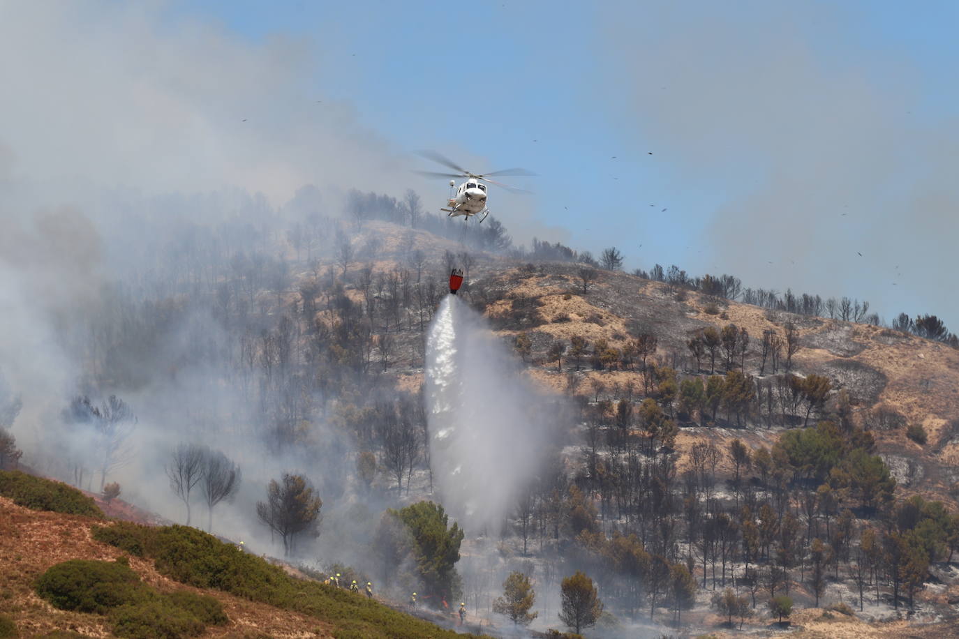 Fotos: Incendio en el monte Yerga en Alfaro y Grávalos