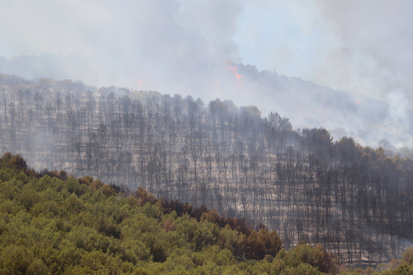 Fotos: Incendio en el monte Yerga en Alfaro y Grávalos